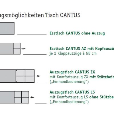 Auszugsmöglichkeiten